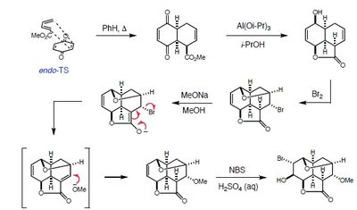 Reserpine synthesis pericyclic reaction sequence