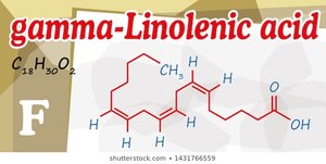 Structure of gamma-linolenic acid