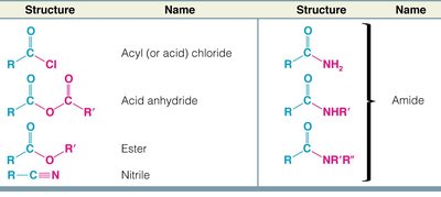 Structures and names of acyl derivatives: acid chloride, anhydride, ester, nitrile, and amides
