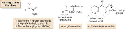 Naming secondary and tertiary amides: N-ethylformamide, N,N-dimethylbenzamide