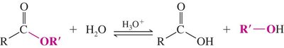 Acid-catalyzed ester hydrolysis (reverse of Fischer esterification)