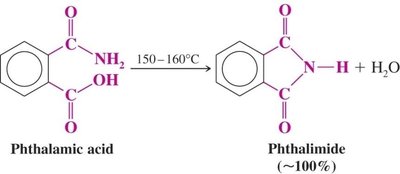 Formation of cyclic imides from anhydrides and amines