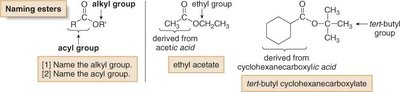 Naming esters: alkyl group and acyl group examples