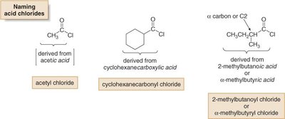 Naming acid chlorides: examples from acetic acid, cyclohexanecarboxylic acid, and 2-methylbutanoic acid