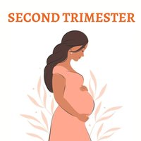 Illustration of a pregnant woman in the second trimester