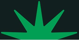 Water pollution from sewage outflow