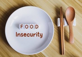 Food insecurity plate