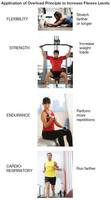 Application of overload principle to flexibility, strength, endurance, and cardiorespiratory fitness