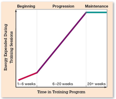 Graph showing progression and maintenance in training programs