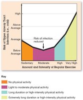 Graph showing risk of infection with different levels of exercise