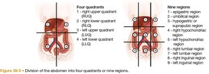 Division of the abdomen into quadrants and regions
