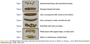Bristol Stool Form Scale