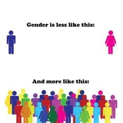 Gender spectrum illustration
