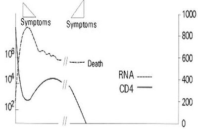 HIV rapid progressor graph
