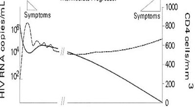 HIV intermediate progressor graph