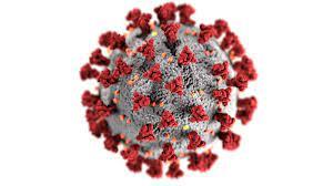 SARS-CoV-2 (COVID-19 virus)