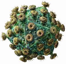 HIV virus structure
