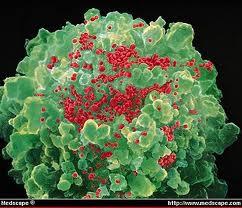 HIV swarming a T cell