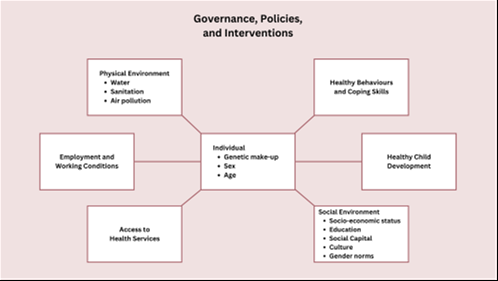 Visual model of determinants of health