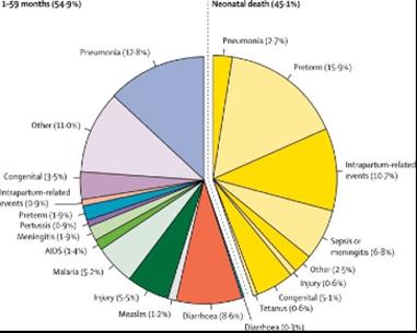 Pie chart of under-5 child mortality by cause