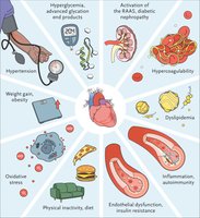 Risk factors for cardiovascular disease