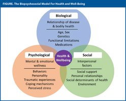 Biopsychosocial model diagram
