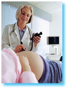 Healthcare provider performing prenatal checkup