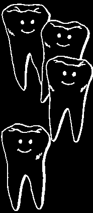 Tooth anatomy diagram