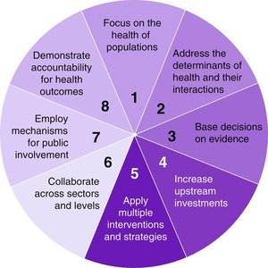 Pie chart showing 8 key elements of the population health approach