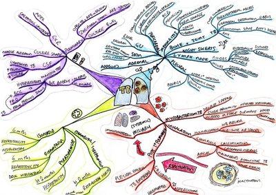 Tuberculosis mind map