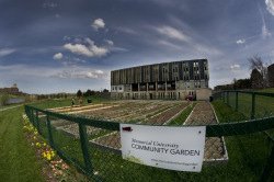 Community garden