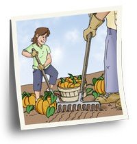 Local market and mobile market