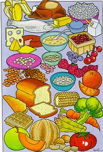 Variety of foods representing nutrients