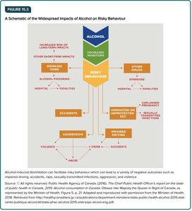 Schematic of alcohol's impacts on risky behaviour