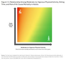 Relationship among physical activity, sitting time, and mortality risk