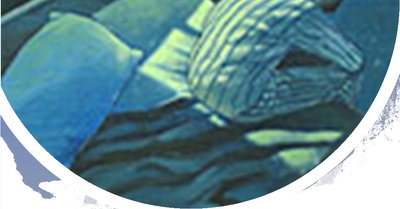 Sleep hygiene strategies