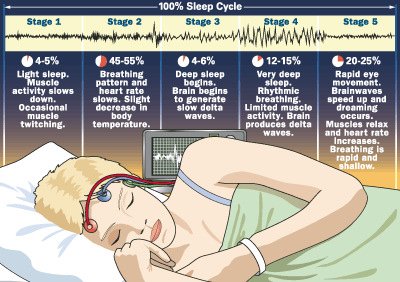 Sleep cycle stages and age-related changes
