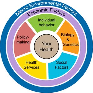 Broader determinants of health including macro environmental factors
