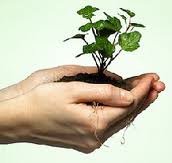 Ottawa Charter strategies spiral diagram