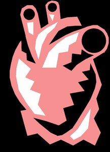 Stylized heart representing cardiac muscle