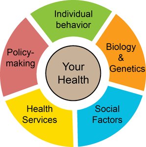 Determinants of Health wheel