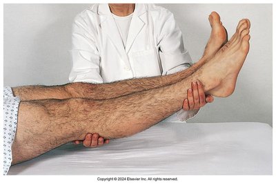 Leg elevation for vascular assessment