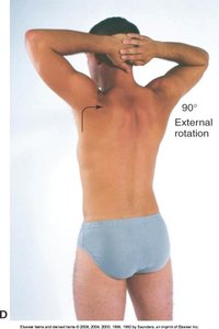 Shoulder external rotation