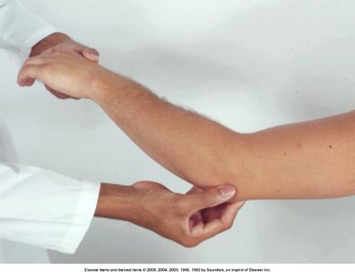 Palpation of the elbow