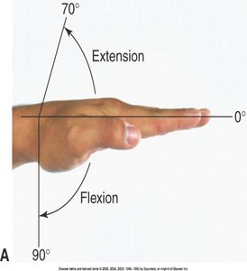 Hand extension and flexion