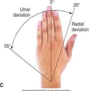 Hand ulnar and radial deviation