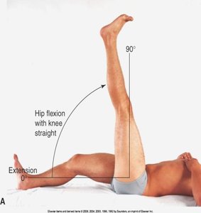 Hip flexion with knee straight
