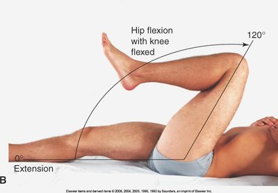 Hip flexion with knee flexed