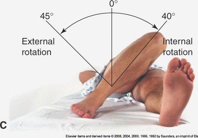 Hip internal and external rotation