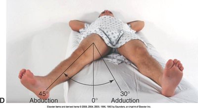 Hip abduction and adduction